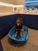 Grote honden mand, Dieren en Toebehoren, Ophalen, Gebruikt, Polyester