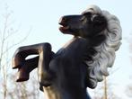 Beeld Steigerend Paard - Zwart - 80 cm - Polystone, Tuin en Terras, Tuinbeelden, Ophalen of Verzenden, Nieuw, Kunststof, Dierenbeeld