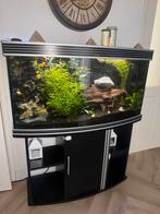 prachtige Aquarium te koop, Ophalen of Verzenden, Zo goed als nieuw, Grind, Zand of Voedingsbodem