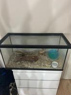 Hamsterkooi, Dieren en Toebehoren, Kooi, Gebruikt, Hamster, 75 tot 110 cm
