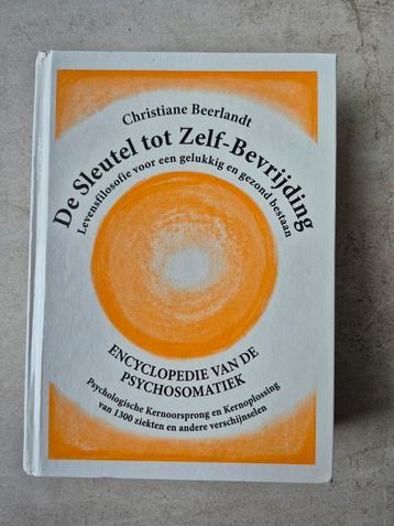 Christiane Beerlandt - De sleutel tot zelf-bevrijding beschikbaar voor biedingen