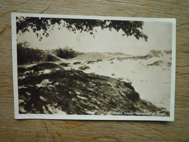In de duinen tussen Haamstede en Burgh, Verzamelen, Ansichtkaarten | Nederland, Noord-Brabant, Voor 1920, Ophalen of Verzenden