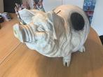 Groot spaarvarken - spaarpot en decoratief beeld, Ophalen of Verzenden, Zo goed als nieuw, Kunststof, Dierenbeeld