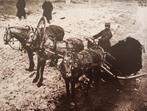Foto prent Moskou jaren 1900-25, Verzamelen, Foto's en Prenten, Verzenden, Voor 1940, Zo goed als nieuw