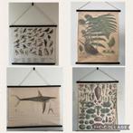 4x Vintage Schoolplaat Natuur en Biologie, Antiek en Kunst, Antiek | Schoolplaten, Ophalen, Natuur en Biologie