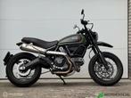 Ducati Scrambler Urban Enduro 2016 full options, Bedrijf, Meer dan 35 kW, Toermotor, 803 cc