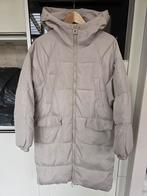 Beige gewatteerde jas met capuchon - Maat M, Ophalen of Verzenden, Maat 38/40 (M), Beige