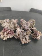 Reef Rock stenen en decoratie, Dieren en Toebehoren, Vissen | Aquaria en Toebehoren, Ophalen, Gebruikt, Plant(en), Steen of Hout