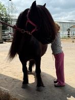 Prachtige kinderpony te koop, Merrie, B, Gechipt, A pony (tot 1.17m)
