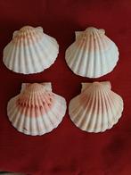 4 schelpen, Huis en Inrichting, Keuken | Servies, Verzenden, Overige stijlen