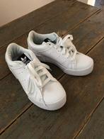 NIEUW SCHOENEN SNEAKERS ADIDAS WIT LEER 37, Adidas, Wit, Nieuw, Ophalen of Verzenden