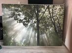 Ikea Canvas Groene Boom, Ophalen