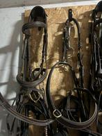 Set: Hoofdstel met bijpassend borsttuig, Dieren en Toebehoren, Ophalen of Verzenden, Gebruikt