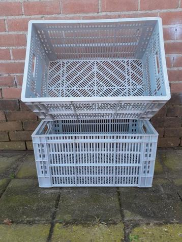 Kunststof kratten ( 60 x 40 x 32 ) beschikbaar voor biedingen