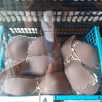 NN strapless plakbeha, Kleding | Dames, Ondergoed en Lingerie, Info@allesvoordeliger, Bruin, Allesvoordeliger, Nn
