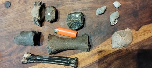 ijstijd vondsten, Verzamelen, Mineralen en Fossielen, Fossiel, Ophalen of Verzenden