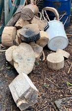 Haardhout loofhout diverse soorten onbewerkt hout, Minder dan 3 m³, Ophalen of Verzenden