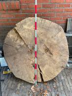 Grote dikke Boomschijf boomstam, Ophalen, Minder dan 25 mm, Overige typen, Zo goed als nieuw