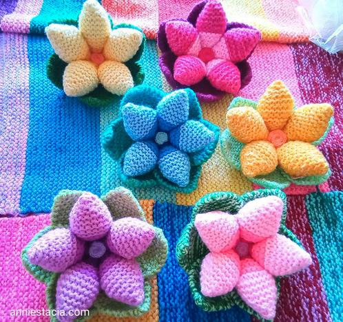 Moederdag Tip!!! Gekleurde gebreide bloemenschaaltjes, Hobby en Vrije tijd, Breien en Haken, Zo goed als nieuw, Breien, Overige typen