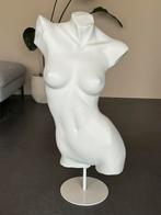 Paspop torso zonder armen, Ophalen of Verzenden, Zo goed als nieuw, Paspop