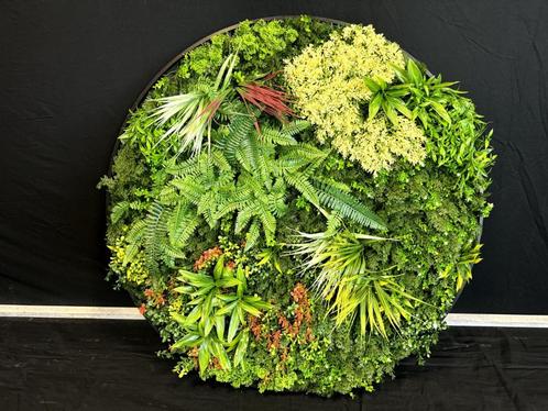Kunsthaag rond, Huis en Inrichting, Woonaccessoires | Wanddecoraties, Nieuw, Ophalen of Verzenden