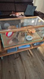 Knaagdieren / hamster hok/ verblijf, Dieren en Toebehoren, Gebruikt, 75 tot 110 cm, Ophalen, Minder dan 60 cm