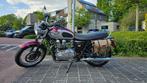 Triumph Bonneville, Motoren, Motoren | Triumph, 2 cilinders, 790 cc, Chopper, Particulier