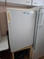 Marijnen Tafelmodel Koelkast met Vriesvak, Ophalen
