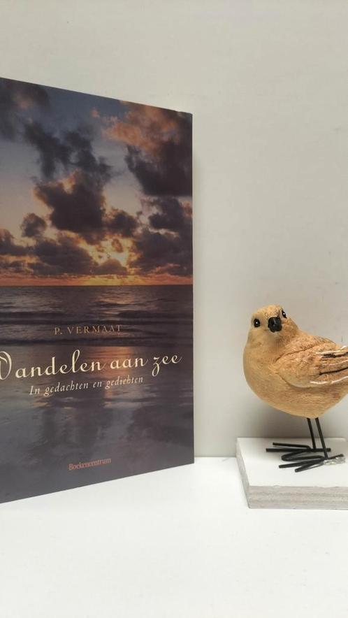 Vermaat, Ds. P.; Wandelen aan zee, Boeken, Godsdienst en Theologie, Gelezen, Christendom | Protestants, Ophalen of Verzenden