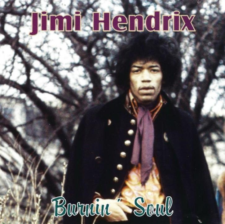 Jimi Hendrix, Cd's en Dvd's, Cd's | Rock, Gebruikt, Ophalen of Verzenden