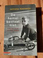 Jannetje Koelewijn - De hemel bestaat niet, Ophalen of Verzenden, Zo goed als nieuw, Jannetje Koelewijn