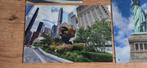 Koening Sphere Newyork plexiglas foto, Ophalen, Oorspronkelijke maker, Zo goed als nieuw, Foto of Poster