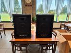 Img stage line pab-12p profesionele speakers, Overige merken, Overige typen, Ophalen of Verzenden, Zo goed als nieuw