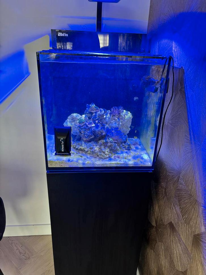 Red sea max nano compleet., Dieren en Toebehoren, Vissen | Aquaria en Toebehoren, Nieuw, Gevuld zeewateraquarium, Ophalen