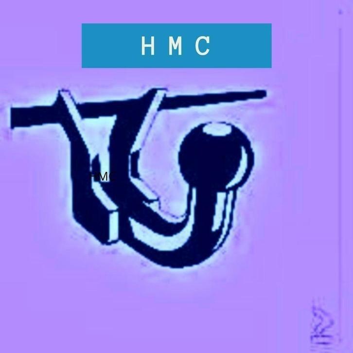 trekhaak leapmotor c10 b10 t03 montage mogelijk, Auto diversen, Overige Auto diversen, Ophalen