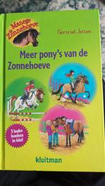 Gertrud Jetten - Meer pony's van de Zonnehoeve, Fictie algemeen, Ophalen of Verzenden, Zo goed als nieuw, Gertrud Jetten