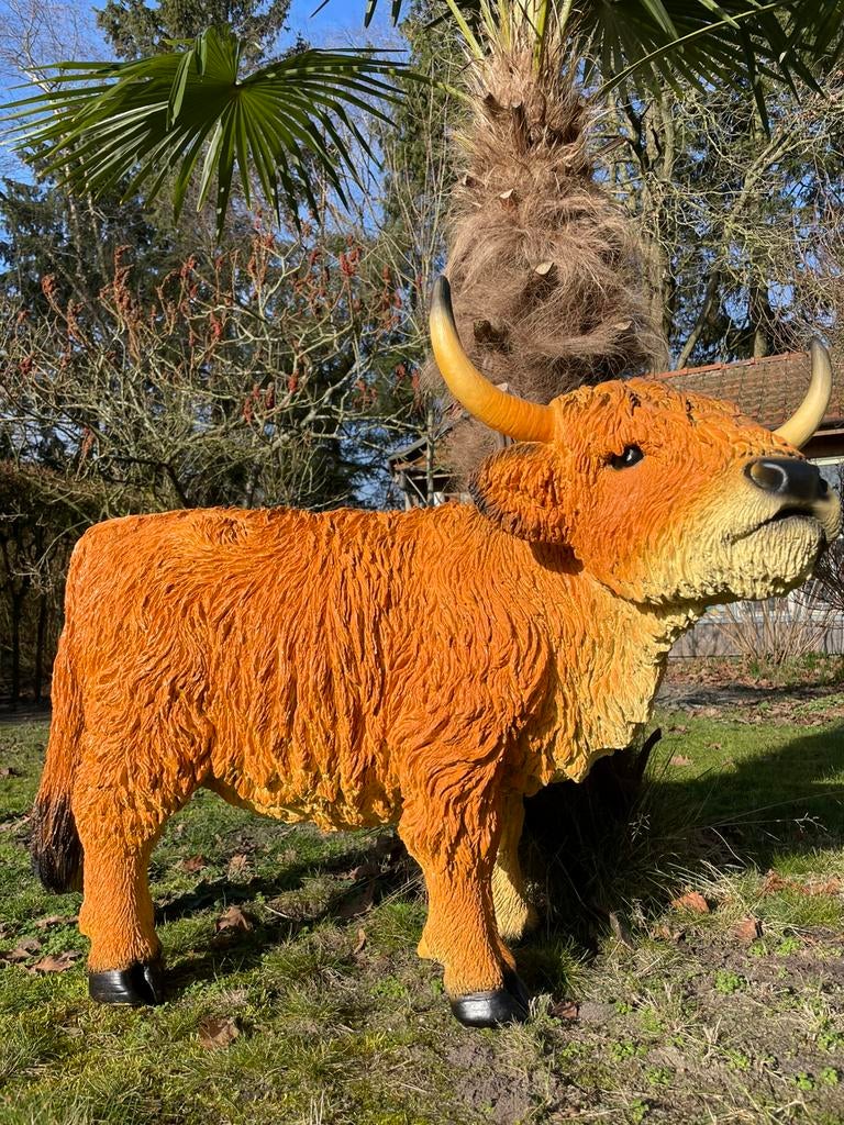 Schotse hooglander beeld rund boerderij koe tuin boer wei, Ophalen, Nieuw, Kunststof, Dierenbeeld