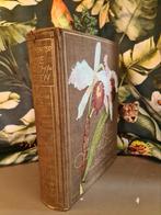 Antiek boek "Die Orchideen" uit 1927, Antiek en Kunst, Antiek | Boeken en Bijbels, Ophalen of Verzenden