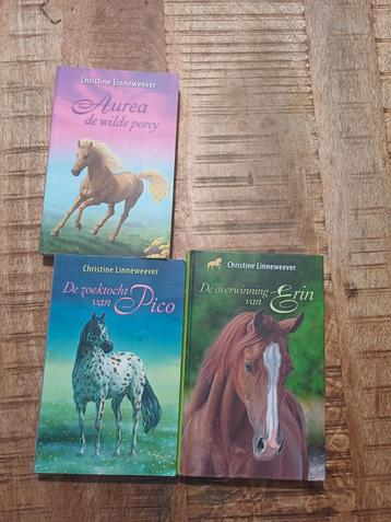 Christine Linneweever Paardenboeken Pico, Erin, Aurea beschikbaar voor biedingen