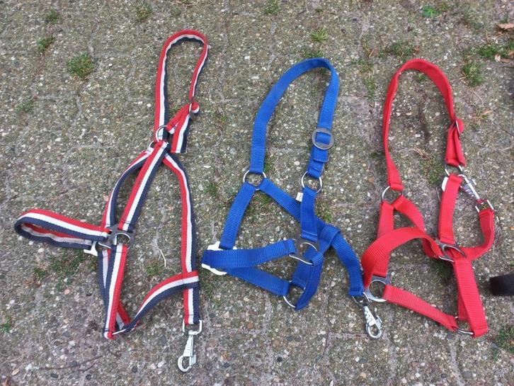 Nieuwe halsters diversen maten, Dieren en Toebehoren, Paarden en Pony's | Hoofdstellen en Tuigage, Nieuw, Dressuur, Ophalen