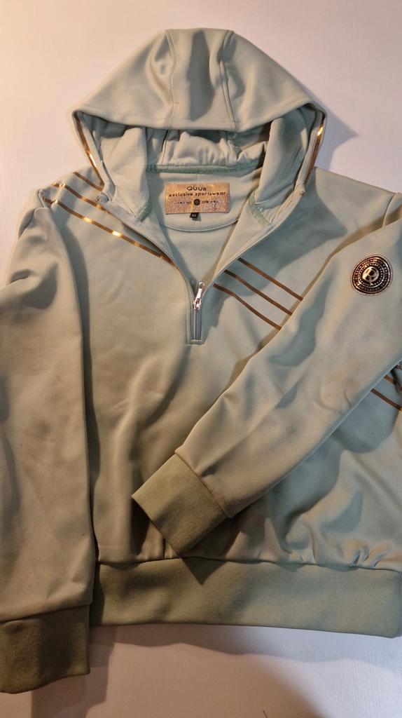 Verschillende paarden kleding, Kleding | Heren, Truien en Vesten, Zo goed als nieuw, Ophalen of Verzenden