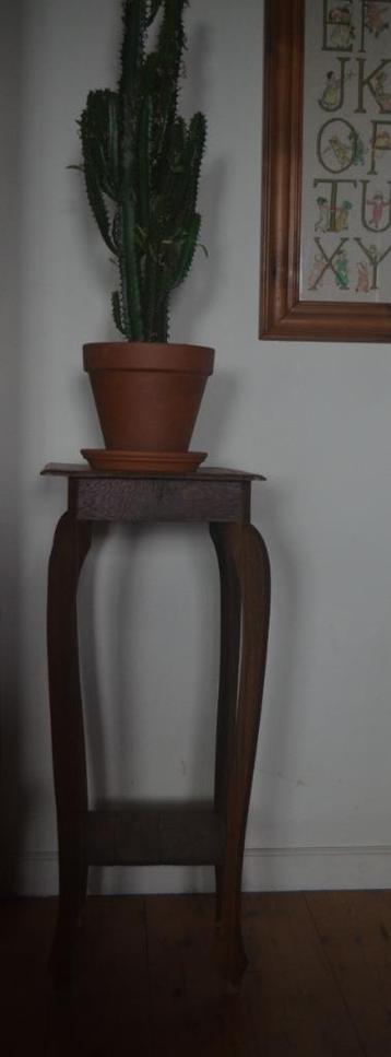 Prachtige oude vintage plantentafel beschikbaar voor biedingen