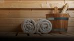 Sauna bon dagentree Wellness Center de Bronsbergen voor 2 p., Verzenden, Nieuw, Complete sauna
