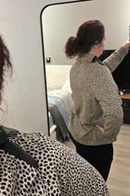 Trui Frank Walder maat 42, Kleding | Dames, Ophalen of Verzenden, Zo goed als nieuw, Maat 42/44 (L)