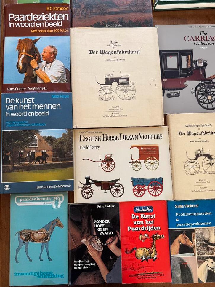 Paarden en rijtuigen boeken, Boeken, Vervoer en Transport, Gelezen, Overige vervoermiddelen, Ophalen of Verzenden