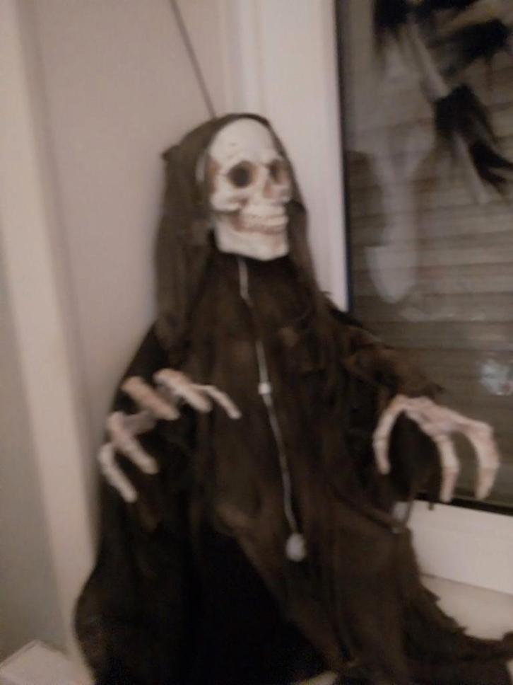 Halloween Skelet - Licht, Geluid & Beweging!, Hobby en Vrije tijd, Feestartikelen, Nieuw, Feestartikel, Halloween of Griezel, Ophalen of Verzenden