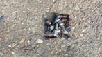 Set wielbouten stalen velgen Peugeot 207 uit 2008, Ophalen of Verzenden