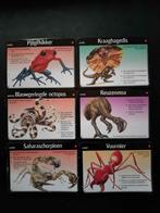monsterworld kaarten, Ophalen of Verzenden, Gebruikt, Losse kaart