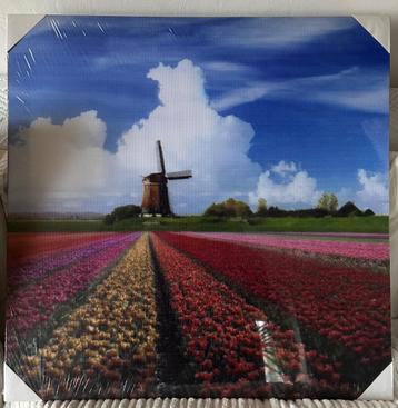 Wanddecoratie  Molen en tulpenveld.  beschikbaar voor biedingen