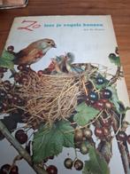 Zo leer je vogels kennen - Ko Zwarts, Boeken, Ophalen of Verzenden, Gelezen, Vogels, Ko Zwarts